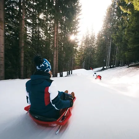 Apartamento Confortable 2 Pieces, Skis Aux Pieds, 4 Pers, Proche Commerces - Fr-1-182a-13