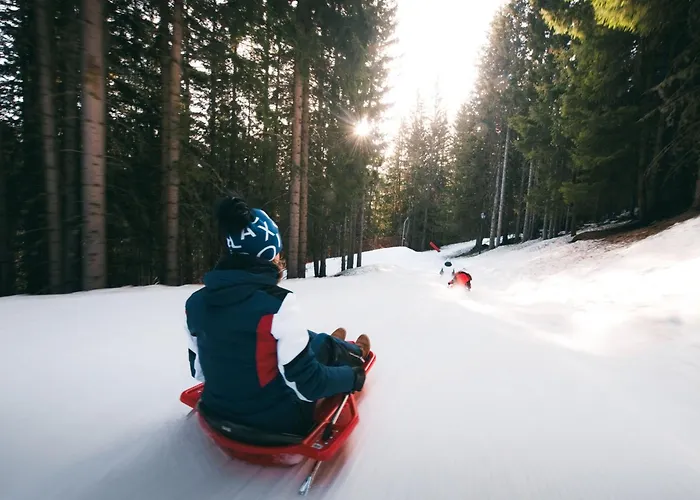 Confortable 2 Pieces, Skis Aux Pieds, 4 Pers, Proche Commerces - Fr-1-182a-13 *